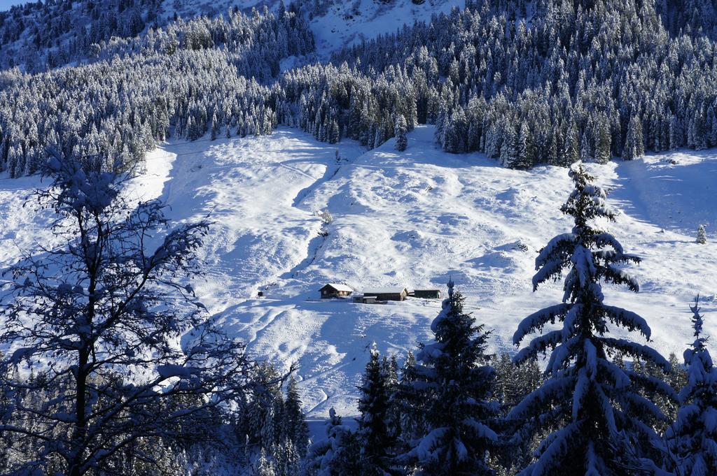 Apart Soellbacherhof Fügen Dış mekan fotoğraf